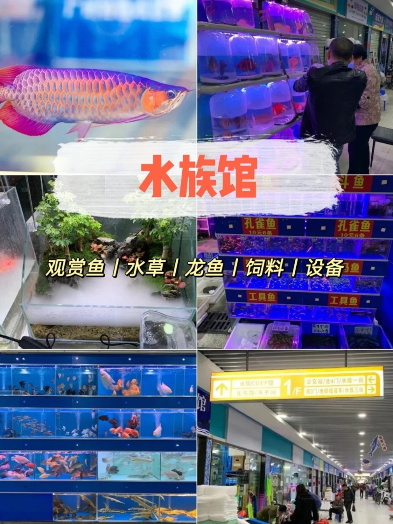 魚類區(qū)